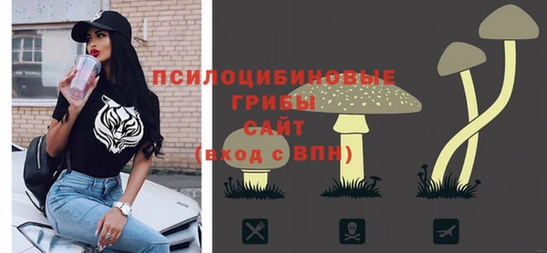 а пвп мука Кодинск