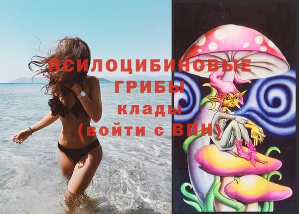а пвп мука Кодинск