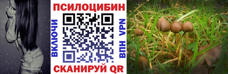 Галлюциногенные грибы Psilocybine cubensis  купить наркотик  Владикавказ 