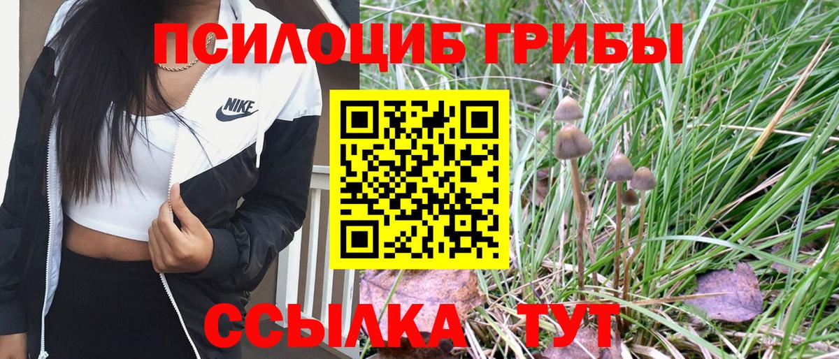 Псилоцибиновые грибы Cubensis  Владикавказ 