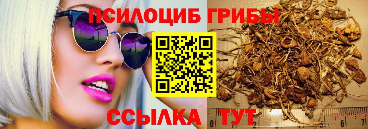 Галлюциногенные грибы Psilocybe  Вход с VPN  Владикавказ  закладки  Галлюциногенные грибы мухоморы 