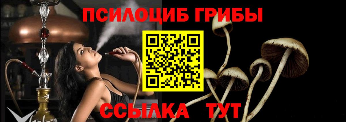 Галлюциногенные грибы ЛСД Владикавказ